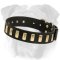 Elegant Decorated Leather English Bulldog Collar with Brass Plates