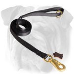 Any Weather and Any Occasion Nylon Leash for English Bulldog