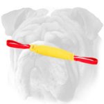 French Linen Puppy English Bulldog Bite Tug