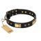 "Black Sun" FDT Artisan Leather English Bulldog Collar with Brass Plated Decorations