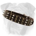 Bulldog Studed And Spiked Leather Dog Collar