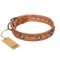 "Daily Chic" FDT Artisan Tan Leather English Bulldog Collar with Decorations