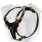 Lightweight Leather English Bulldog Harness with Y-Shaped Chest Plate