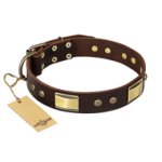 "Rich Fashion" FDT Artisan Decorated Leather English Bulldog Collar with Plates and Studs