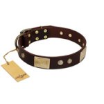 "Middle Age" FDT Artisan Brown Leather English Bulldog Collar with Old Bronze-Plated Engraved Flowers and Large Plates