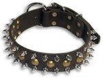 Bulldog Spike&Stud Black dog collar 20inch/20'' collar - S55