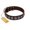 "Charming Circles" FDT Artisan Brown Leather English Bulldog Collar with Silver-like Studs
