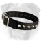 Gorgeous Wide Nylon English Bulldog Collar With Nickel Pyramids