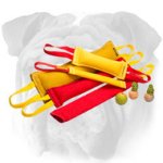 Buy 5 Professional English Bulldog Bite Items - Get 8 Tools