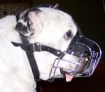 Royal Quality Wire Basket Muzzle for English Bulldog