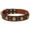 "Golden Knight" Genuine Leather Collar for English Bulldog Breed