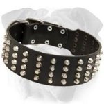 2 inch Wide Studded Leather English Bulldog Collar