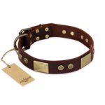 "Shining Armour" FDT Artisan Brown Leather English Bulldog Collar with Decorations