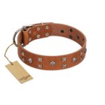 "Enchanted Skulls" FDT Artisan Tan Leather English Bulldog Collar with Chrome Plated Skulls