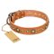 "Feast of Luxury" FDT Artisan Tan Leather English Bulldog Collar with Old Bronze Look Circles