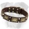 Multitask Leather English Bulldog Collar for Walking and Training