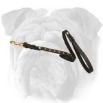 Fantastic Leather English Bulldog Leash with Brass Studs
