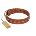 "Heroic Deeds" Designer Handmade FDT Artisan Tan Leather English Bulldog Collar