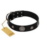 "Blue Gems" FDT Artisan Black Leather English Bulldog Collar with Chrome Plated Studs and Conchos