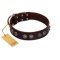 "King Arthur" FDT Artisan Brown Leather English Bulldog Collar with Spiky Plates