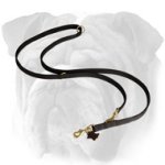 All In One Multi-Purpose Nylon Dog Leash for English Bulldog