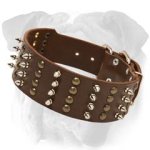 Leather English Bulldog Collar | Rustproof Studs and Spikes