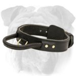 Latigo Leather Agitation Dog Collar With Handle for English Bulldog