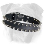 Double Row Spiked Leather Collar for English Bulldog