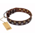 'Strong Shields' Handmade FDT Artisan Leather English Bulldog Collar with Set of Fancy Decor