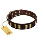 "Peace and Harmony" FDT Artisan Brown Leather English Bulldog Collar with Plates
