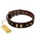 "Blinking Illusion" FDT Artisan Brown Leather English Bulldog Collar with Old Bronze-like Studs and Plates