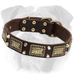 Multitask Leather English Bulldog Collar for Walking and Training