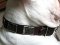Stylish Leather English Bulldog Collar with Vintage Massive Plates