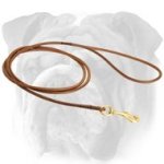Refined Leather English Bulldog Leash for Dog Shows