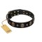 Pirate's Spell' FDT Artisan Black Leather English Bulldog Collar with Engraved Studs and Medallions