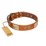 "Perfect Blend" FDT Artisan Tan Leather English Bulldog Collar 1 1/2 inch (40 mm) wide