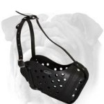 Attack Training Genuine Leather Muzzle for English Bulldog