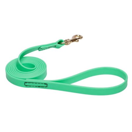 Green Waterproof English Bulldog Leash Made of Biothane