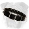 English Bulldog Nylon Collar | Nickel Plated Spikes