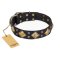 "Fancy-Schmancy" FDT Artisan Studded Leather English Bulldog Collar