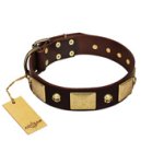 "Heavy Metal" FDT Artisan Brown Leather English Bulldog Collar with Old Bronze-like Skulls and Plates