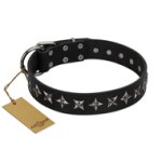 "Lights-out" FDT Artisan Black Leather English Bulldog Collar with Silver-like Set of Stars