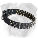 Reliable Spiked Leather English Bulldog Collar
