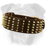Royal Spiked Leather English Bulldog Collar