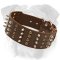 Leather English Bulldog Collar | Rustproof Studs and Spikes