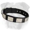 Comfortable Plated Nylon English Bulldog Collar