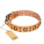 'Sophisticated Glamor' FDT Artisan English Bulldog Tan Leather Dog Collar with Fancy Old-Bronze Plated Decorations