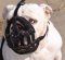 Durable Leather English Bulldog Muzzle with Soft Inside Padding