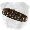 Custom Leather Dog Collar for English Bulldog With Pyramids And Studs