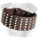Royal Leather English Bulldog Collar Adorned with Pyramids